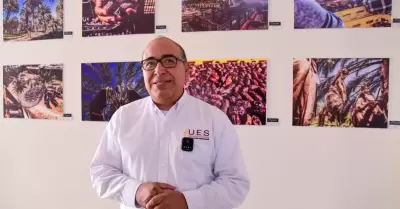 Curso de Especializaci�n en Cultivo de Palma Datilera