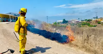 Bomberos Rosarito