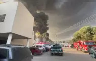 VIDEO: Se registra incendio en predio ubicado en colonia Vi�edos Casablanca