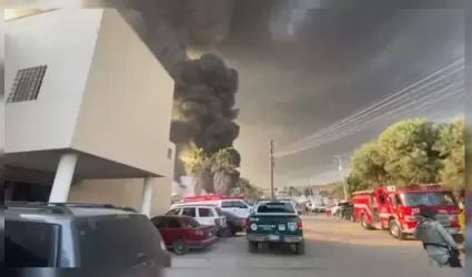 Se registra incendio en predio ubicado en colonia Viedos Casablanca