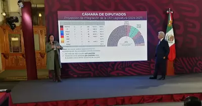 Composicin de la Cmara de Diputados en la prxima legislatura