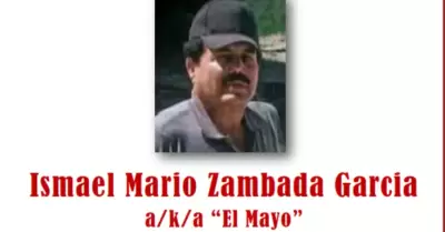 Mayo Zambada