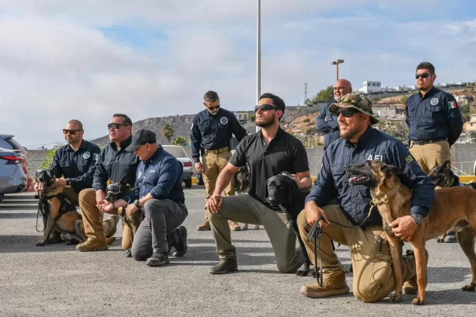 Logra Unidad K-9 de la fiscal�a de Baja California certificaci�n internacional