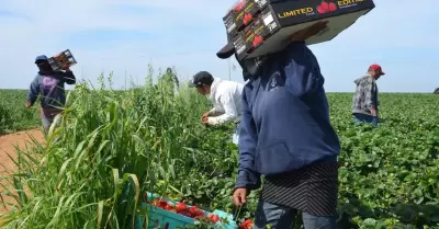 Producci�n agr�cola