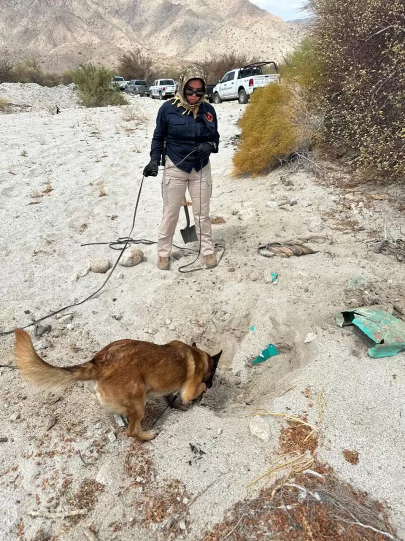 Operativo de b�squeda generalizada en la zona des�rtica de San Felipe