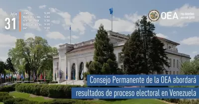 Organizacin de Estados Americanos (OEA)