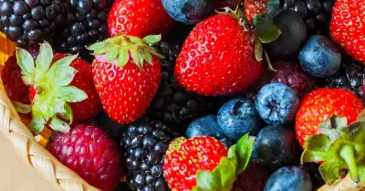 Frutos rojos