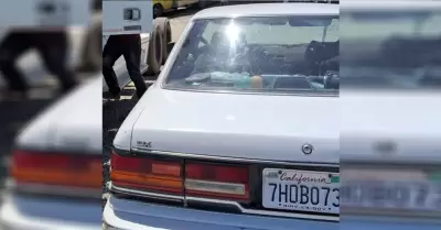 Vecino de Mariano Matamoros solicita ayuda para localizar veh�culo robado