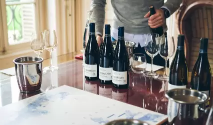 Tips para identificar un buen vino tinto.
