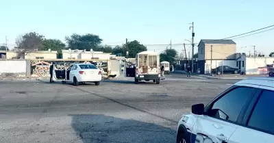 Polic�a ecol�gica y CEMCA rescatan a 55 caninos en situaci�n de calle