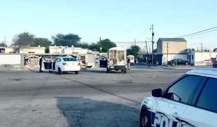 Polic�a ecol�gica y CEMCA rescatan a 55 caninos en situaci�n de calle