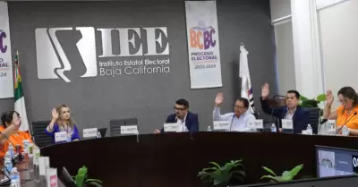 Sesionar� la comisi�n de seguimiento al servicio profesional electoral nacional 