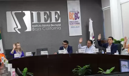 Sesionar� la comisi�n de seguimiento al servicio profesional electoral nacional 