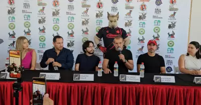 Grupo Caliente proyectar� documental sobre el perro lobo mexicano en el Baja Ani
