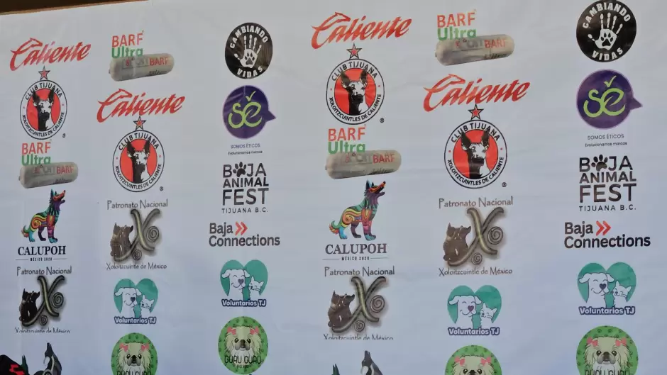 Grupo Caliente proyectar� documental sobre el perro lobo mexicano en el Baja Animal Fest