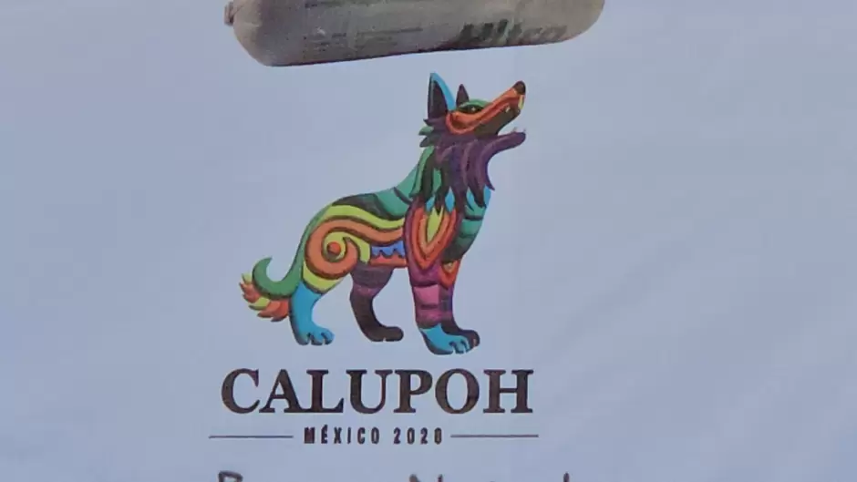 Grupo Caliente proyectar� documental sobre el perro lobo mexicano en el Baja Animal Fest