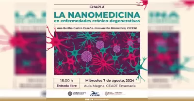 La nanomedicina en enfermedades cr�nico-degenerativas