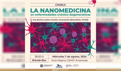 La nanomedicina en enfermedades cr�nico-degenerativas