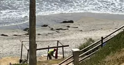 Ocupaci�n de Playas por Personas no Identificadas Preocupa a Vecinos
