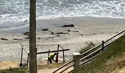 Ocupaci�n de Playas por Personas no Identificadas Preocupa a Vecinos