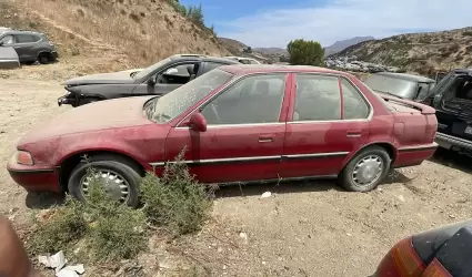 Recupera FGE nueve veh�culos con reporte de robo, durante operativo de b�squeda