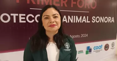 Claudia Edwards, directora de programas de Humane Society International Mxico