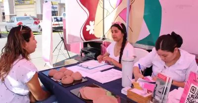 M�dulo Rosa M�vil