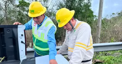 Trabajadores de CFE