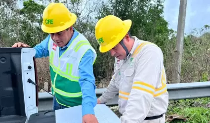 Trabajadores de CFE