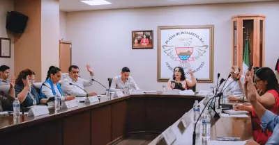 Aprueba Cabildo reglamento de protecci�n al medio ambiente