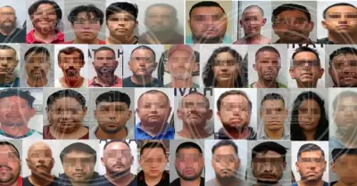Se han efectuado 12 cateos, logrando la detenci�n de 17 personas en flagrancia d