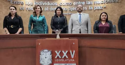 D�a del Constituyente