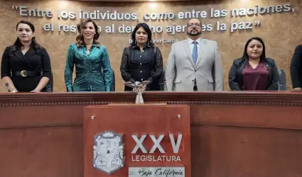 D�a del Constituyente