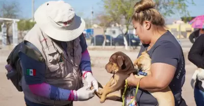 Con ms de 160 mil acciones mdicos zootecnistas benefician a bajacalifornianos