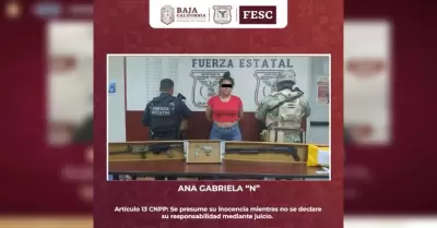 FESC y SEDENA detienen a mujer en posesi�n de armas, granada y drogas