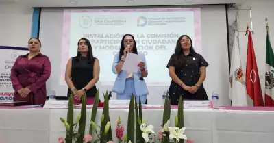 Comisin de Participacin Ciudadana y Modernizacin del Congreso