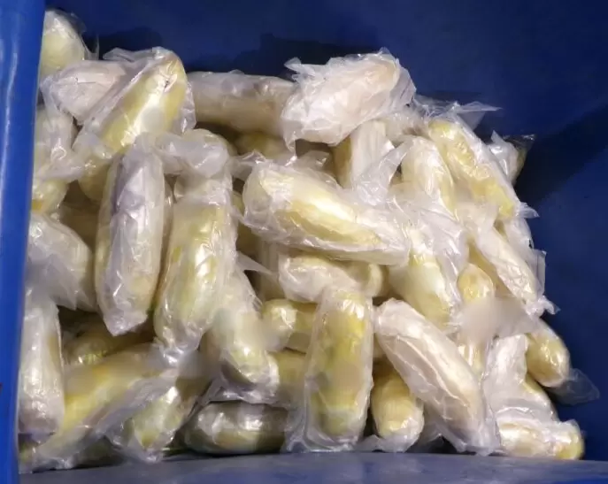 Incautan m�s de 600 libras de metanfetaminas ocultas en un env�o de apio en Otay Mesa
