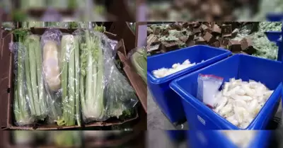 Agentes de CBP decomisan m�s de 600 libras de metanfetamina en un cargamento de 