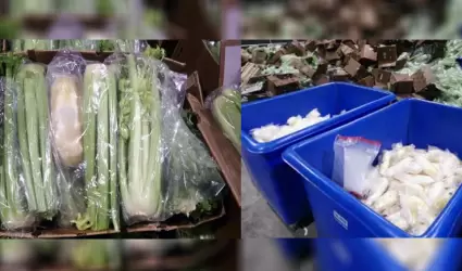 Agentes de CBP decomisan m�s de 600 libras de metanfetamina en un cargamento de 