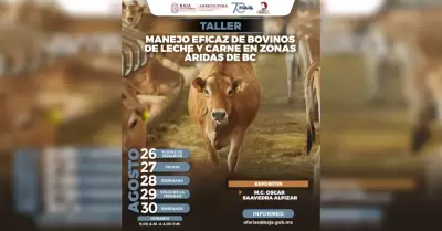 Manejo Eficaz de Bovinos Leche y Carne en Zonas �ridas
