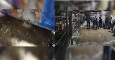 Fuga de agua potable en garita peatonal Tijuana-San Ysidro preocupa a usuarios