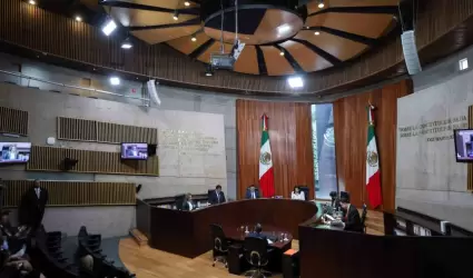 Tribunal Electoral del Poder Judicial de la Federaci�n (TEPJF)