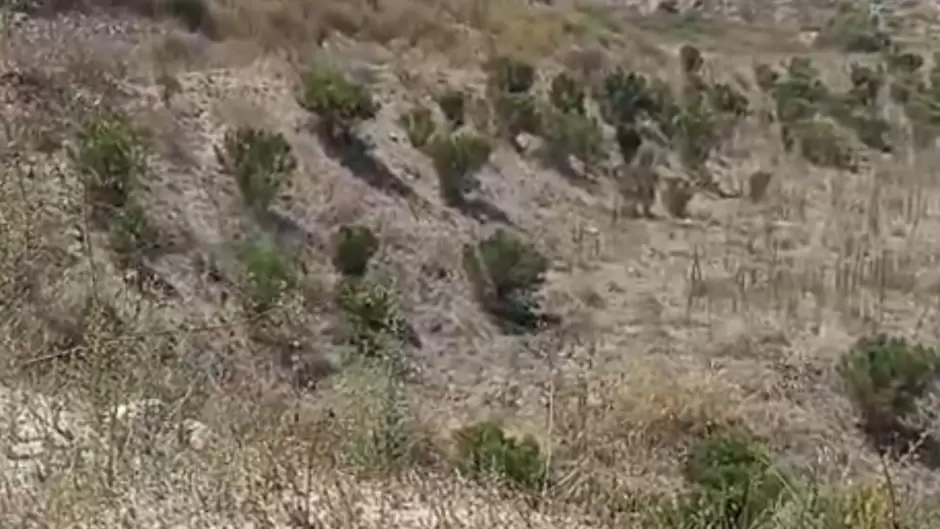 Denuncian que gobierno municipal permiti reanudar obras donde estn por colapsar viviendas en Hacienda Agua Caliente