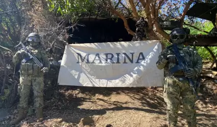 Marina localiza, asegura e incinera plant�os de marihuana