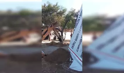 Tala de �rboles