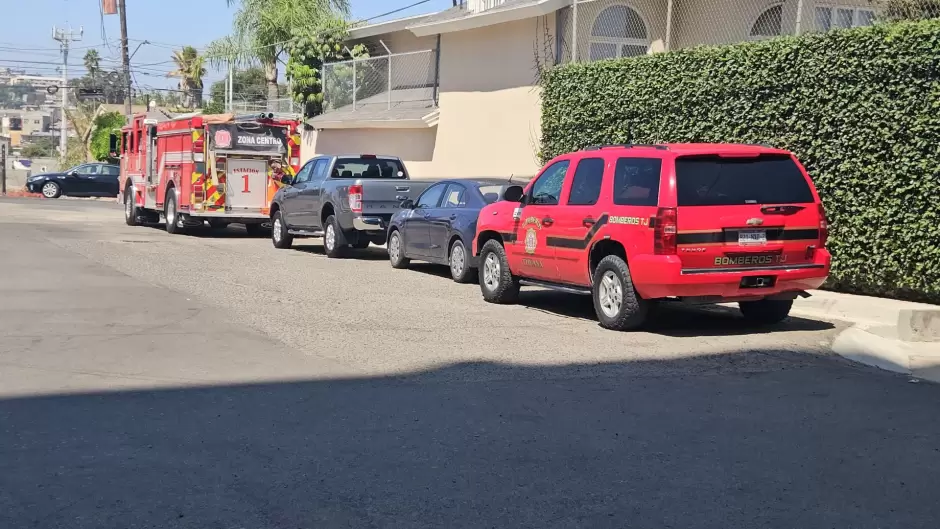 Tras quitar rboles, recula alcaldesa en establecer a Bomberos en parque de "La Cacho"