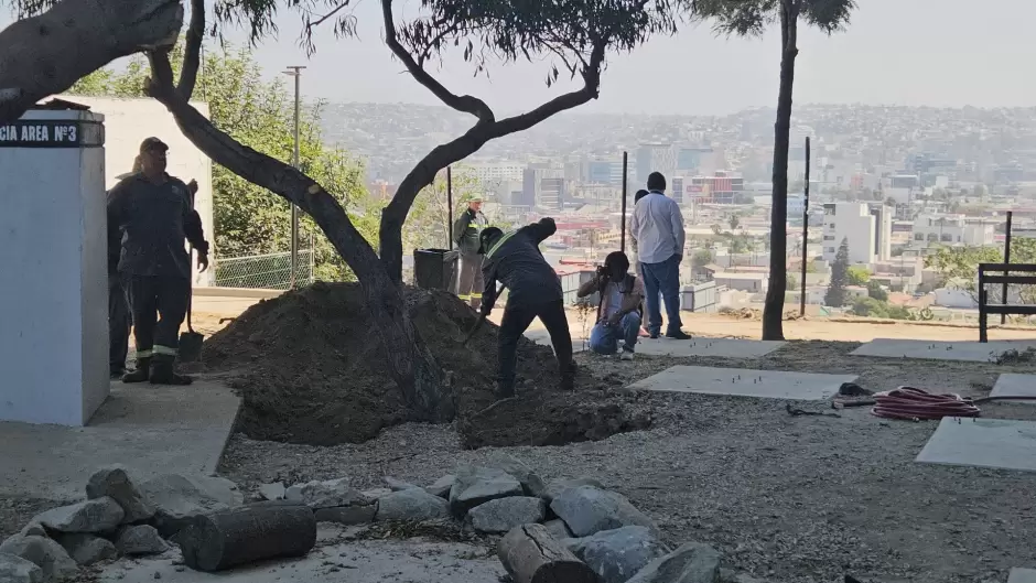 Tras quitar rboles, recula alcaldesa en establecer a Bomberos en parque de "La Cacho"