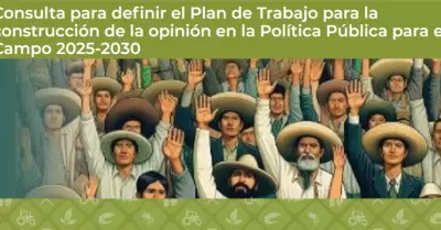 Consulta P�blica