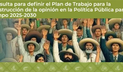 Consulta P�blica