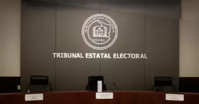 Tribunal Electoral del Poder Judicial de la Federaci�n